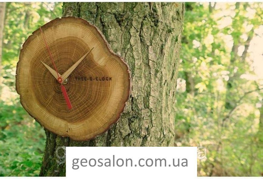 Годинник настінний TFA "TREE-O-CLOCK", дерево (дуб), 180x40х172 мм 60304608 2054190359 фото