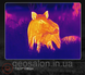 Тепловізор-монокуляр Pard Leopard 480-25 (25 мм, 480х360, 1200 м) 2355461249 фото 6