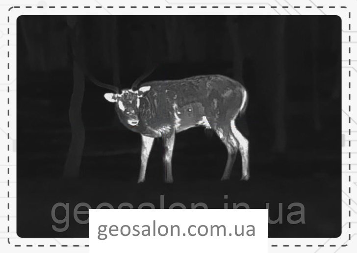 Тепловізор Pard Leopard 480-35 (35 мм, 480х360, 1800 м) 2355463638 фото
