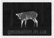 Тепловізор Pard Leopard 480-35 (35 мм, 480х360, 1800 м) 2355463638 фото 7