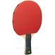 Набор для настольного тенниса Joola Quattro 4 Bats 10 Balls (54818) 2372777823 фото 2